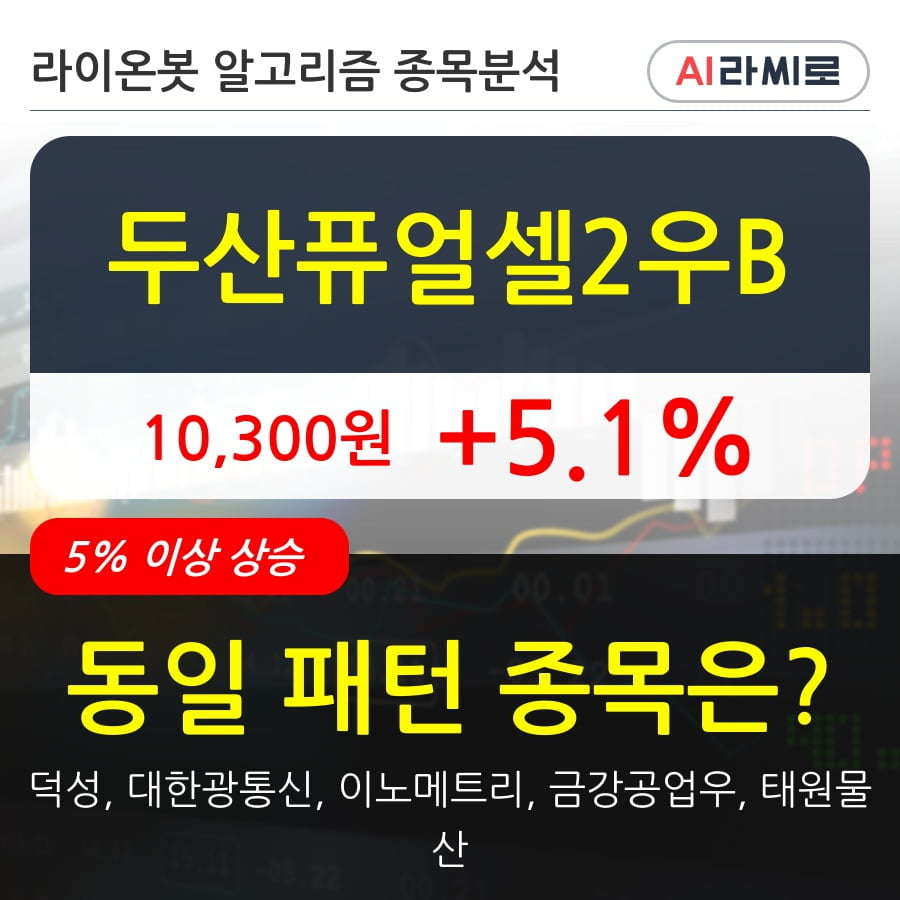 두산퓨얼셀2우B