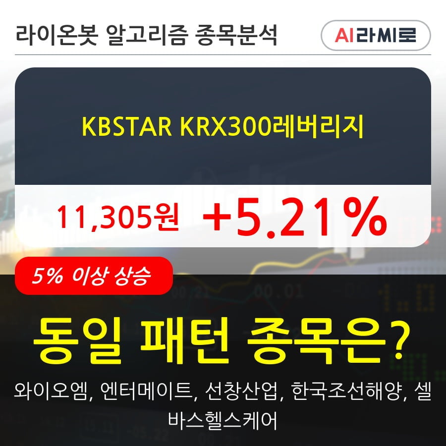 KBSTAR KRX300레버리지