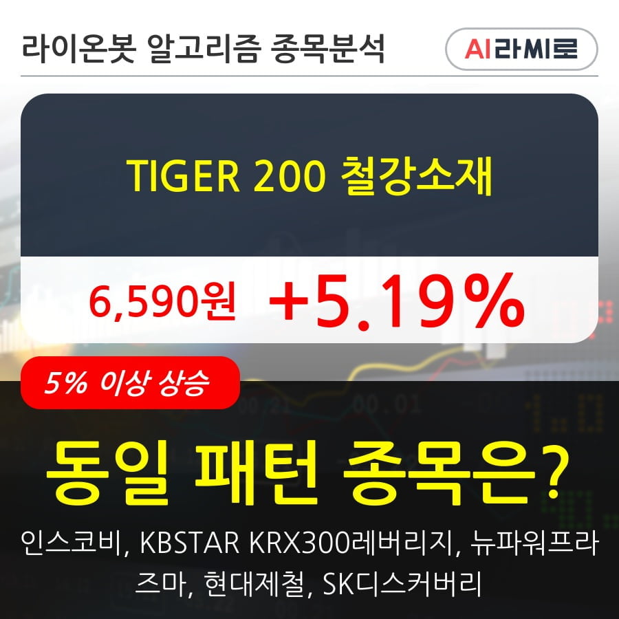 TIGER 200 철강소재