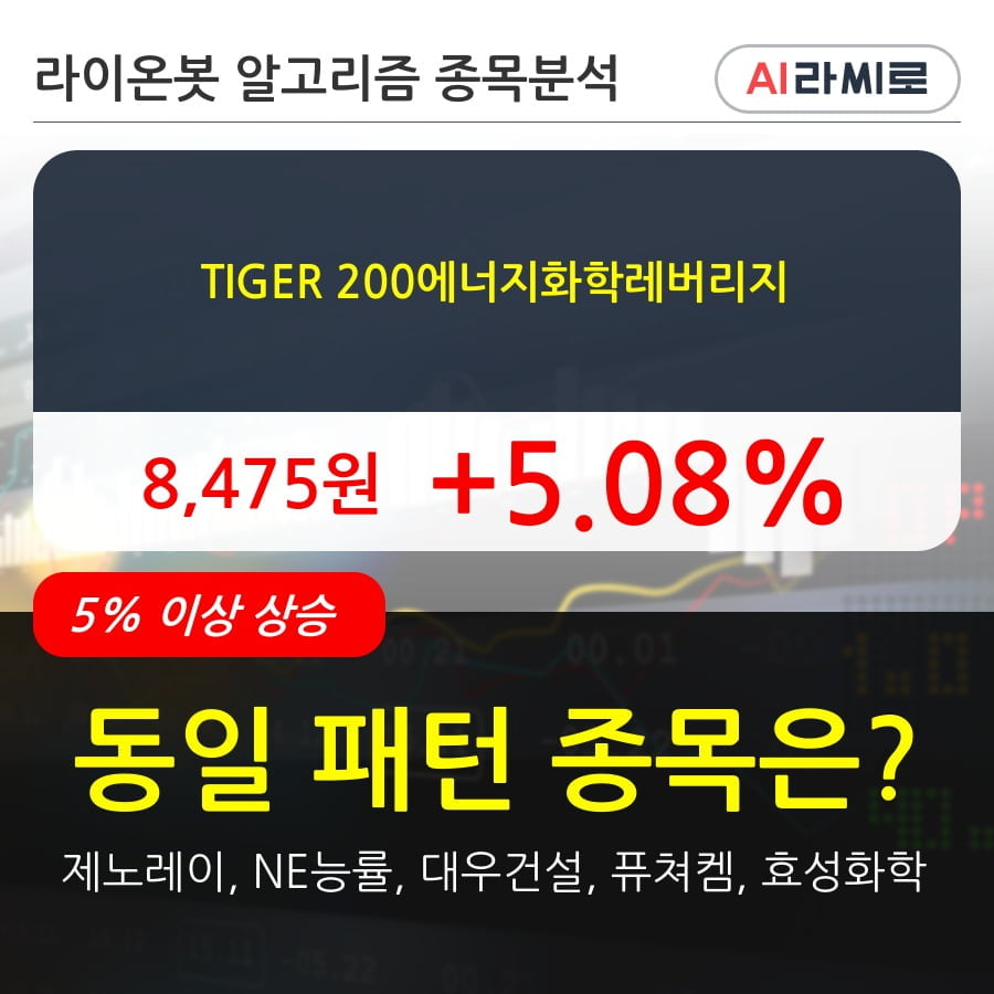 TIGER 200에너지화학레버리지