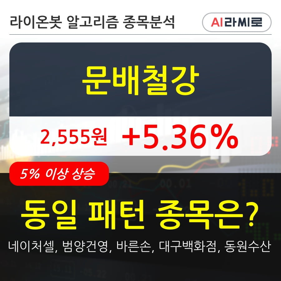 문배철강