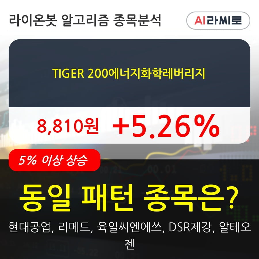 TIGER 200에너지화학레버리지