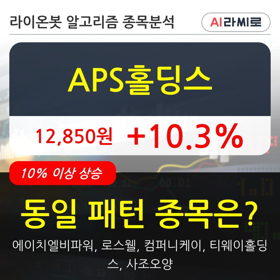 APS홀딩스