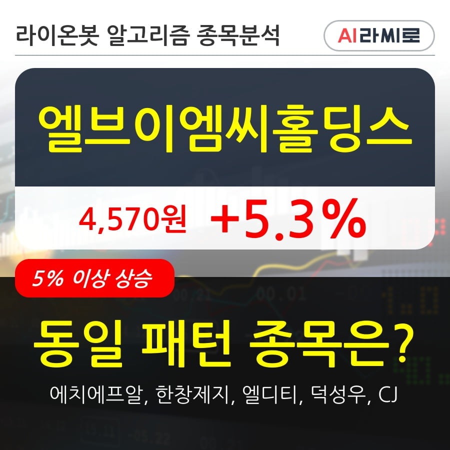 엘브이엠씨홀딩스