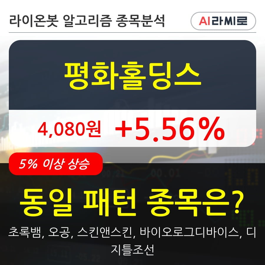 평화홀딩스