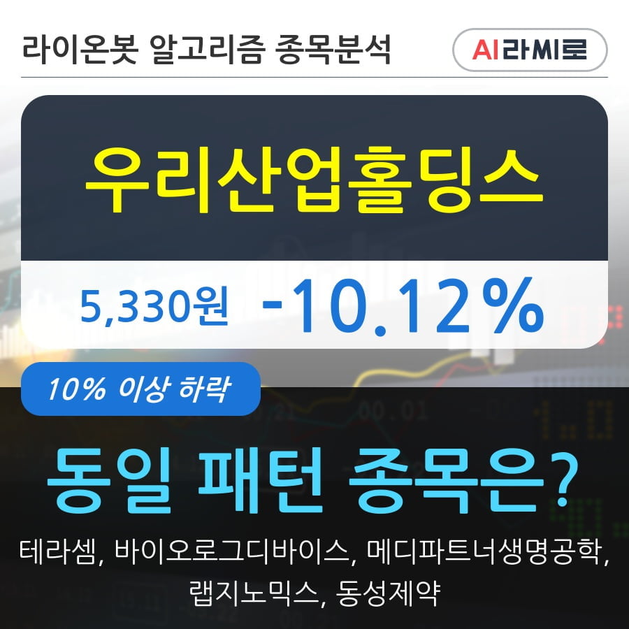 우리산업홀딩스