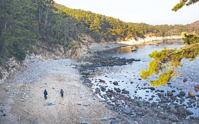 소나무·파도·성곽…설레는 봄 마중 산책, 혼자라서 더 좋다