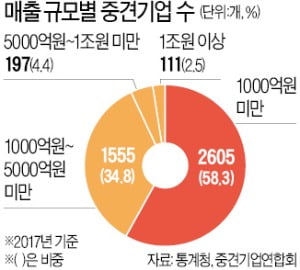 "가뭄에 콩 나듯 나오는 중견기업…글로벌화 지원해야"