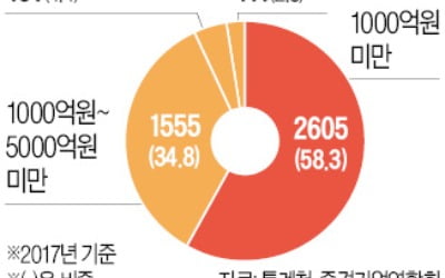 "가뭄에 콩 나듯 나오는 중견기업…글로벌화 지원해야"