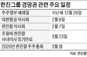 조원태 한진 회장, 경영쇄신안 내놓는다