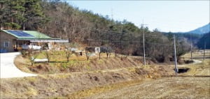 충남 서산시 바다 조망 농장부지 