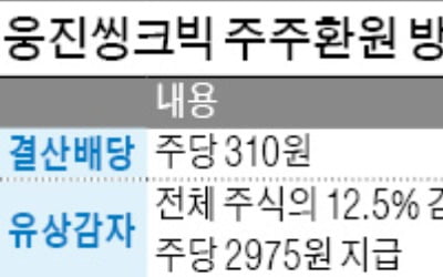 코웨이 판 웅진씽크빅, 배당 확대·유상감자로 주주 달래기 나선다