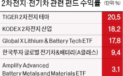 올 수익 20%…2차전지 투자 ETF도 고공행진