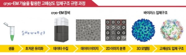 바이러스 약점 찾는 '초저온 전자현미경'…신약 개발에 활용