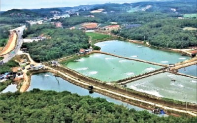 삼강 어업법인, 양식장·수산물 가공사업 투자자 모집