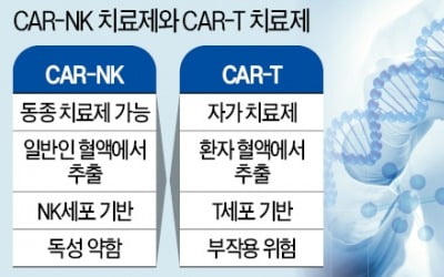 차세대 항암제 'CAR-NK' 개발 빨라지나