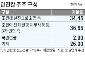 반도건설, 한진칼 지분 4% 더 샀다…더 치열해진 '남매의 난'