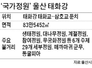 3년 연속 환경부 생태관광지역 지정…'청정관광 명소' 입증한 울산 태화강