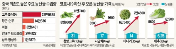 중국산 농산물 수입 67% '뚝'…치솟는 채소값에 동네식당 '날벼락'