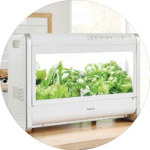   가정용 식물 재배기
 ‘웰스팜’ 