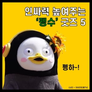 &#34;요즘 펭수 굿즈 하나쯤 있어야죠&#34; 인싸력 높여주는 펭수 굿즈 베스트 5