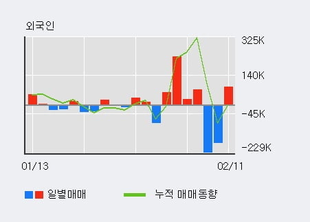 '뉴인텍' 10% 이상 상승, 전일 외국인 대량 순매수