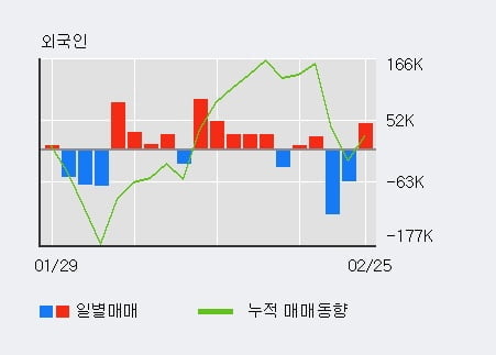 '형지엘리트' 5% 이상 상승, 기관 3일 연속 순매수(575주)