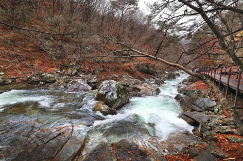 [지금 여기] 얼음꽃 찬란한 겨울왕국 덕유산