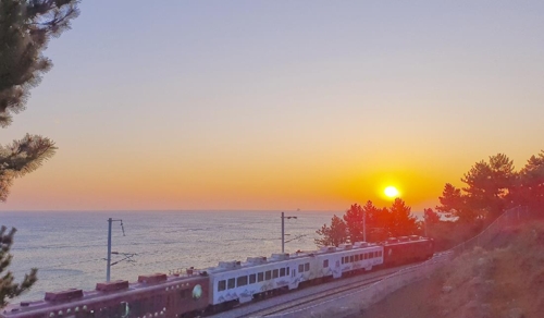 [기차여행] 움직이는 풍경 미술관…동해안 바다열차