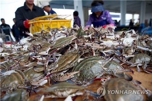 [알쏭달쏭 바다세상](49) 이것이 물에서 헤엄치면 큰바람이 불 징조다