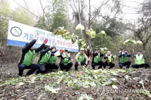 "겨울 잘 나거라"…청송 주왕산서 야생동물 먹이주기