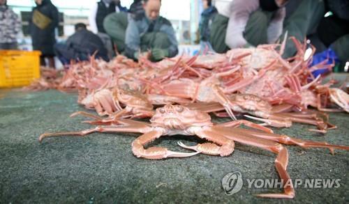 신종코로나 막아야…울진대게축제 취소