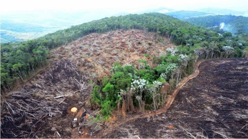 아마존 열대우림 또 경고음…1월 파괴면적 작년보다 108%↑
