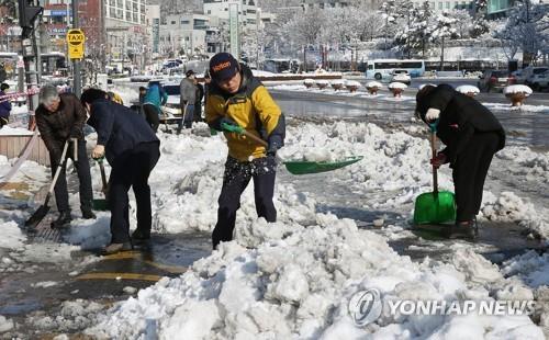 18㎝ 폭설 내린 동해시, 전 공무원 비상 근무