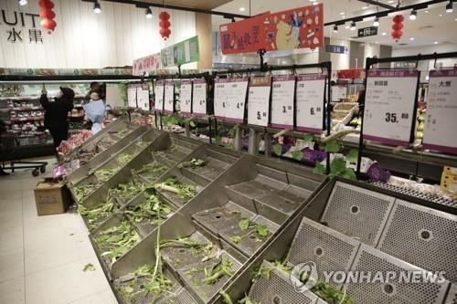 '신종코로나·춘제 여파' 중국 1월 CPI 상승률 8년여만에 최고(종합)