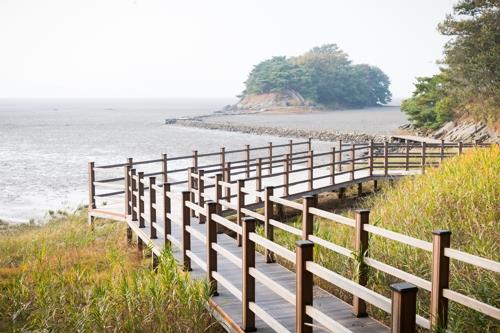 인천 도심 속 섬 세어도에 선착장·관광시설 대폭 확충