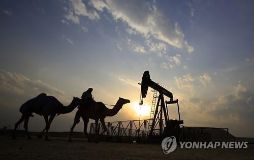 OPEC, 코로나19로 원유수요 증가폭 19% 하향 전망