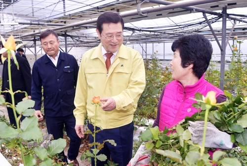 꽃 사기·헌혈·전통시장 이용…공직사회 "코로나19 함께 극복"(종합)