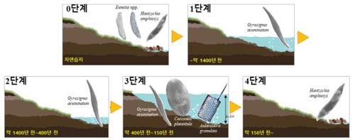 상주 습지 '공검지', 1천400년 전에 생성…퇴적층 화석이 증명