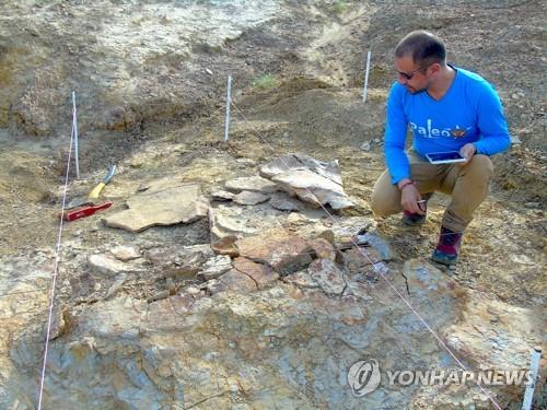 승용차만한 초대형 고대 거북도 공룡급 악어가 천적