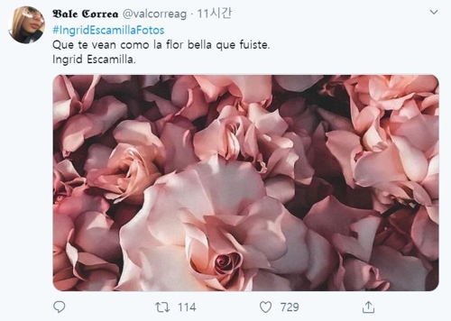 피살여성 시신 공개에 분노한 멕시코…SNS엔 꽃·풍경사진 물결