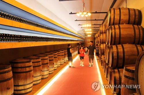 [#꿀잼여행] 충청권: 포도주 향기 '솔솔' 영동 와인터널…오감만족 힐링
