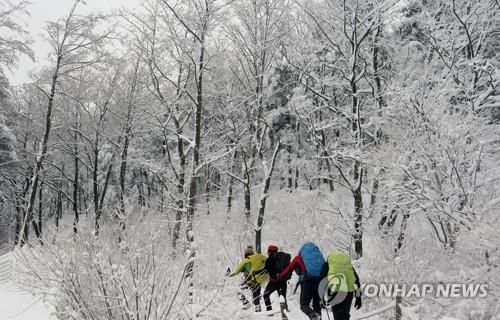 강원지역 16∼17일 많은 눈…산지 대설특보 가능성