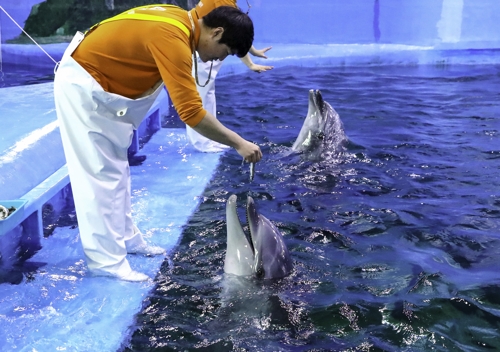 울산 고래생태체험관서 태어난 돌고래 18일 공개