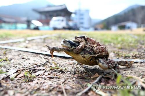 대구·경북 내륙 아침 안개…낮 기온 14∼17도