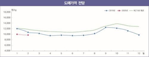 킹크랩뿐 아니다…코로나19에 수산물 가격 줄줄이 하락 예상