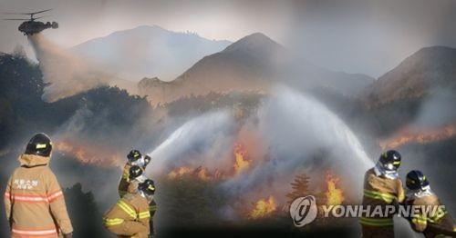 포항 해병대 1사단 사격장 인근 야산서 불…"진화 중"