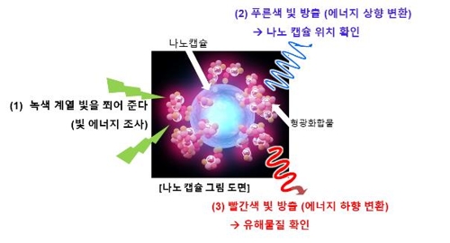 몸속 유해물질 측정하는 나노캡슐 위치 추적 기술 개발