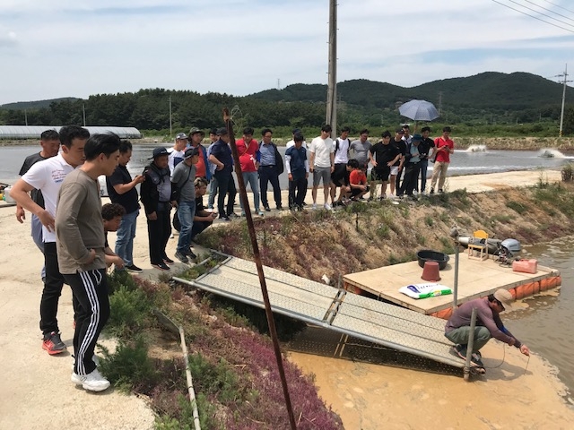 신안군, 양식학교 교육생 모집…'김·왕새우·개체굴'