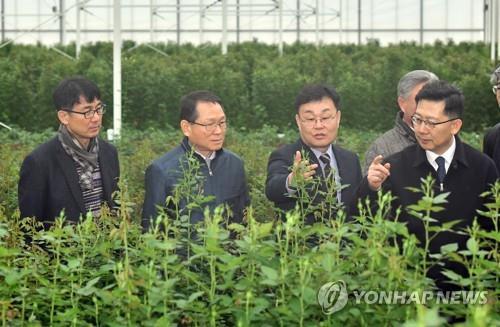 농식품부 "유관기관과 꽃 71만송이 구매"…지자체도 동참